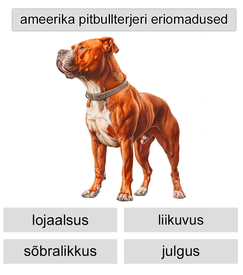 ameerika pitbullterjeri eriomadused