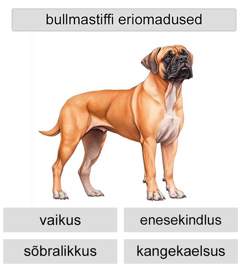 bullmastiffi eriomadused