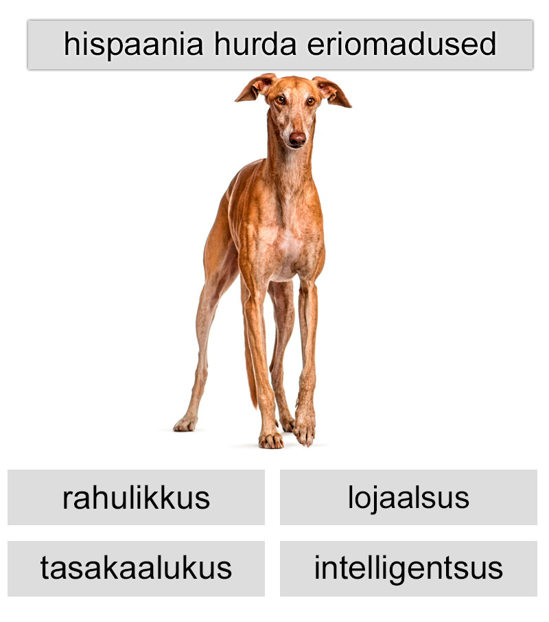 hispaania hurda eriomadused