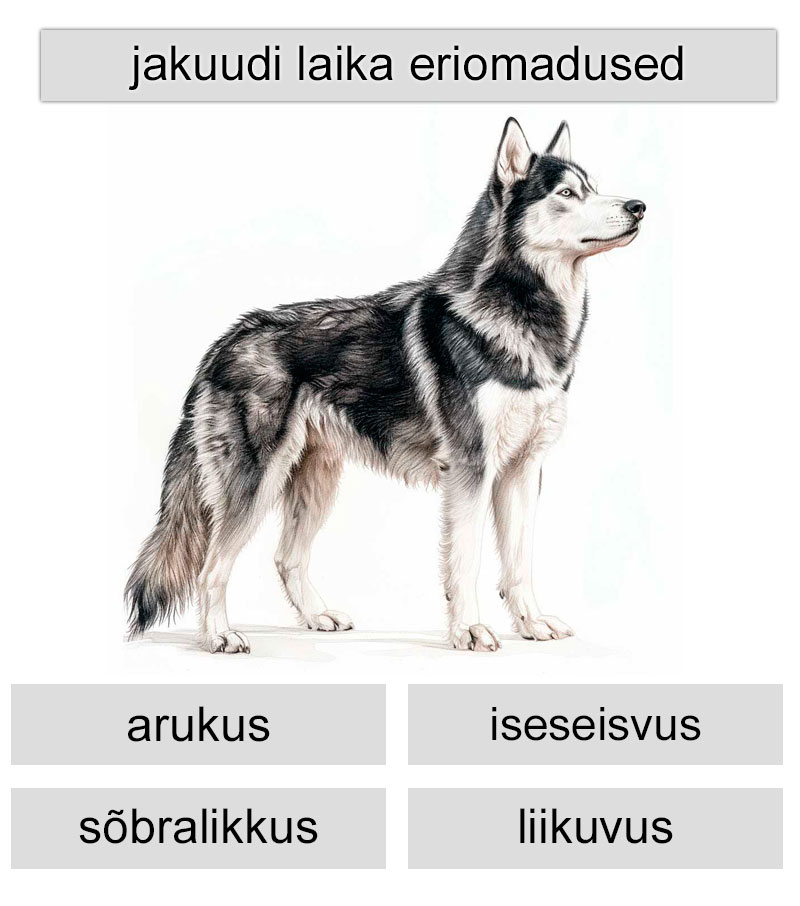 jakuudi laika eriomadused