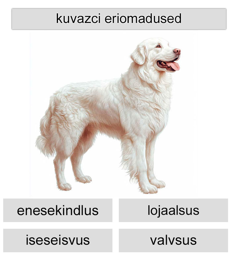 kuvasci eriomadused