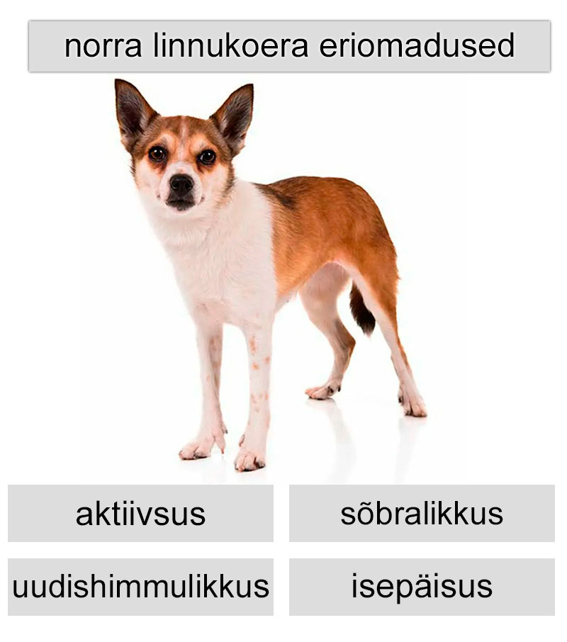 norra linnukoera eriomadused