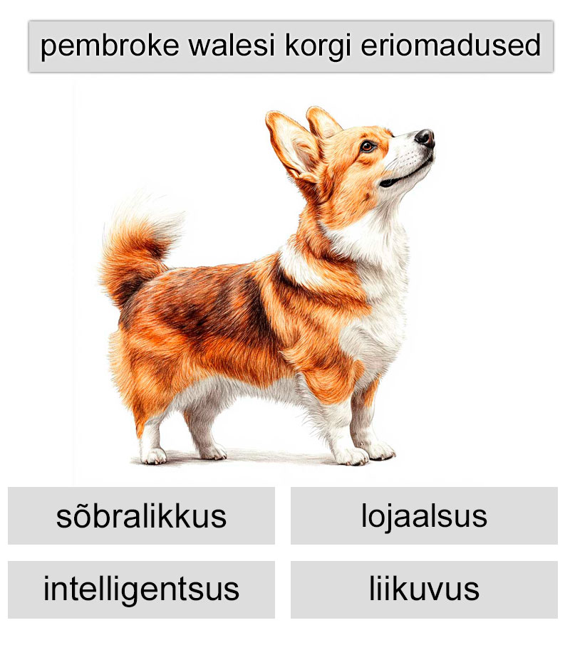 Pembroke'i Walesi korgi eriomadused