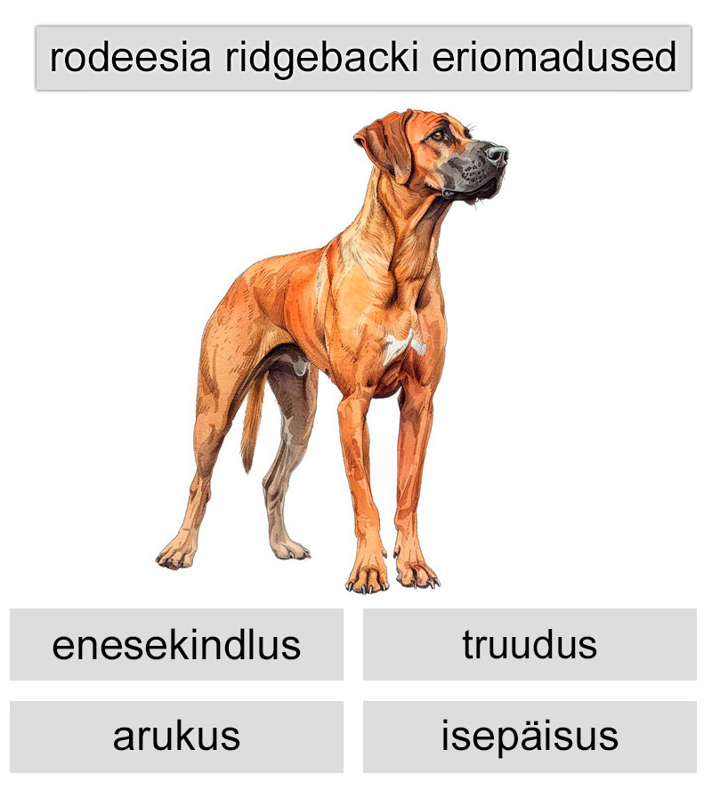 rodeesia ridgebacki eriomadused