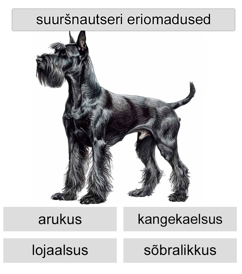 suuršnautseri eriomadused